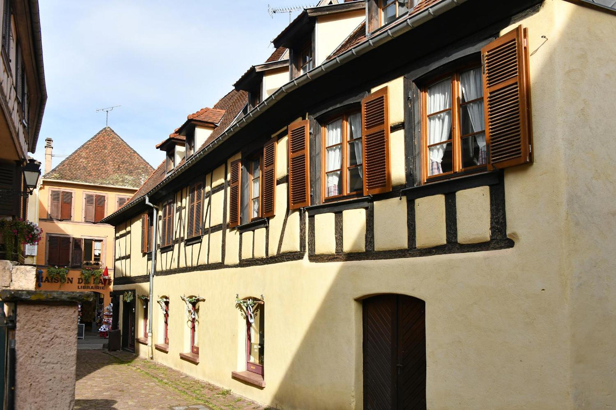 Au Nid D'Hirondelles Apartment Ribeauville  Bagian luar foto