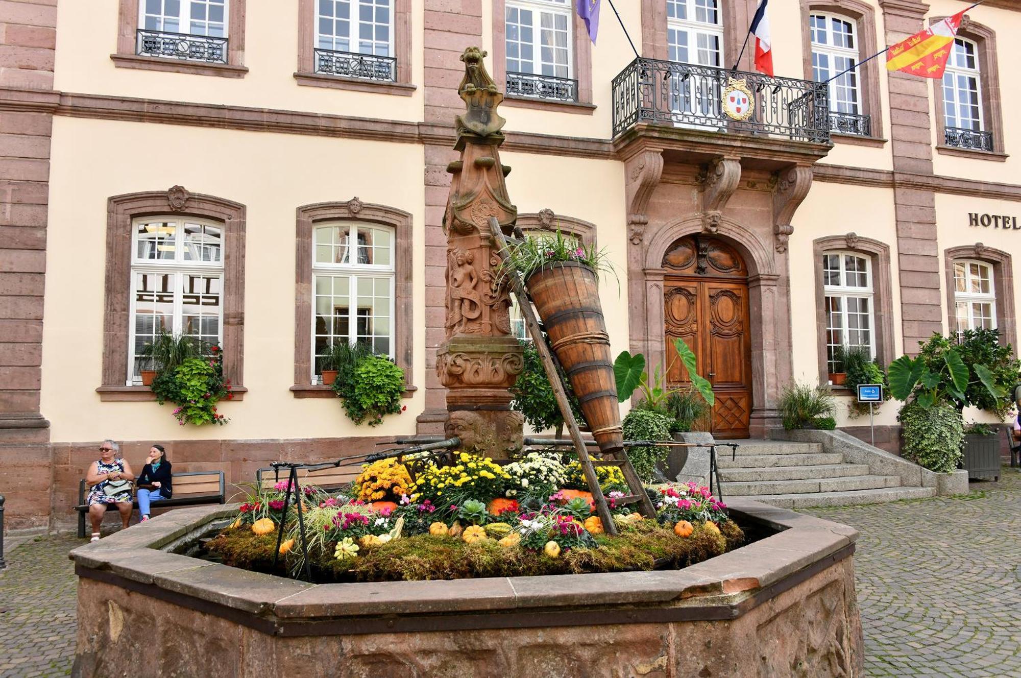 Au Nid D'Hirondelles Apartment Ribeauville  Bagian luar foto